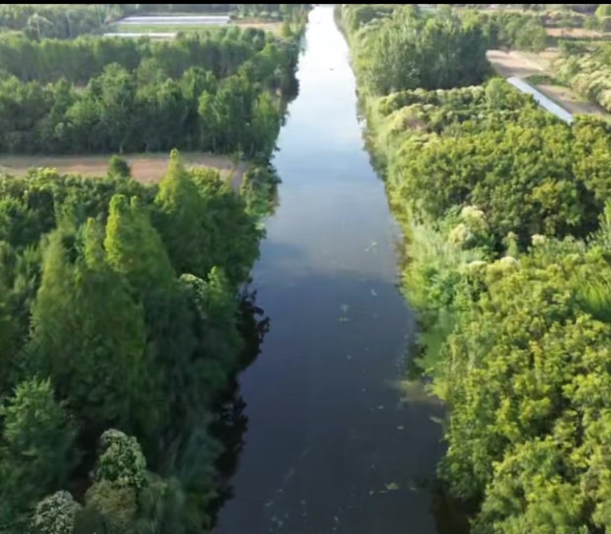 f7718930d7d5cd1da64d207cf4ce98a