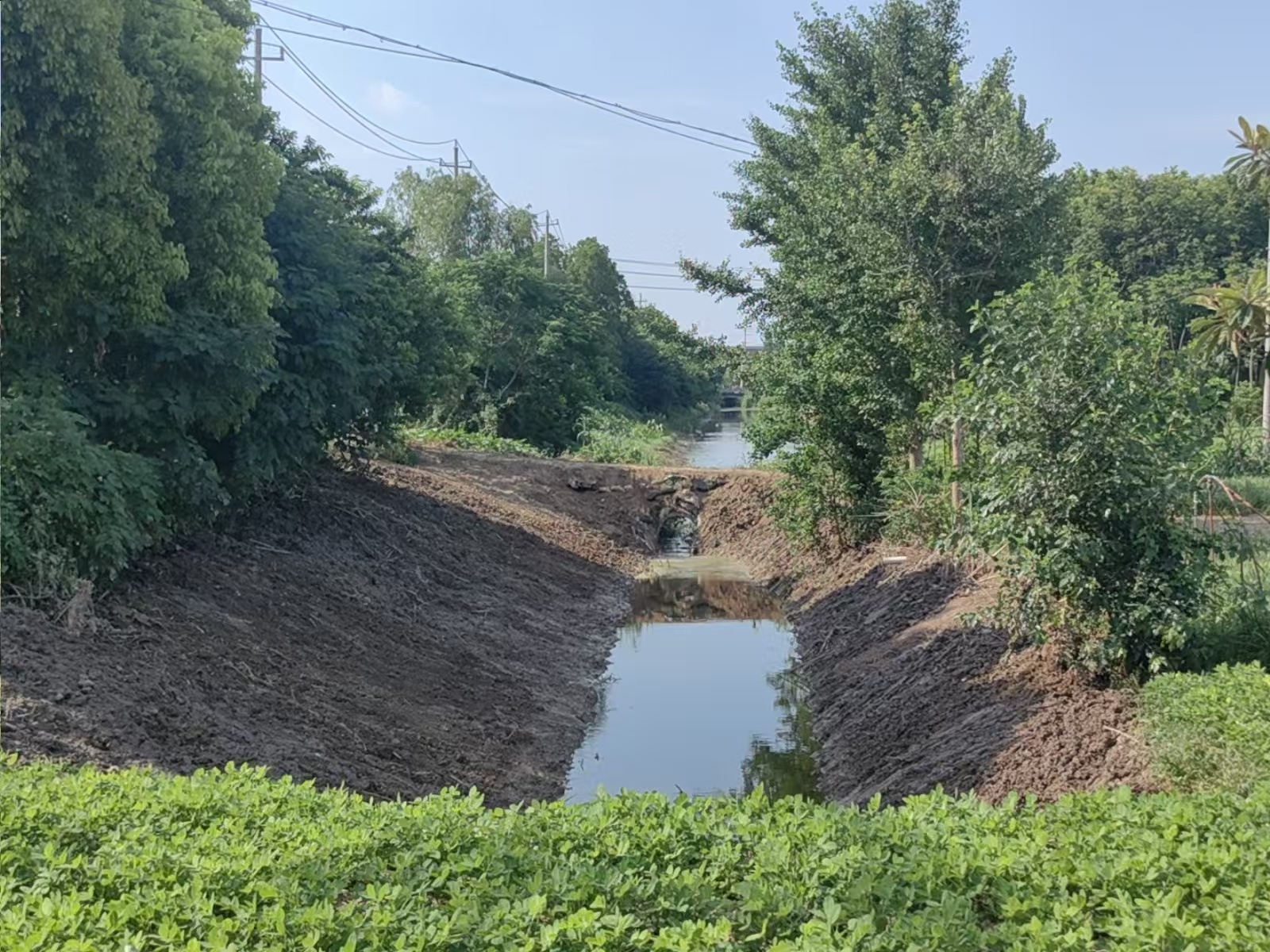 a623f9cbdaaee2b24b37adb58099420