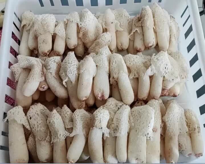 QQ截图20250813114928.jpg QQ截图20250813114928.jpg
