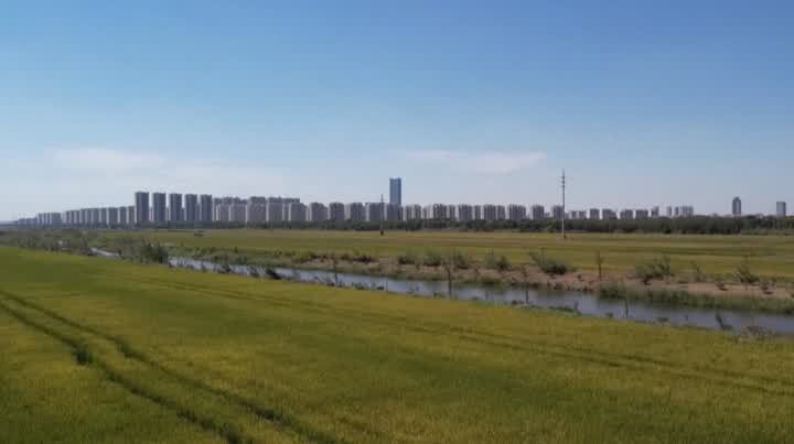 QQ截图20250813114801.jpg QQ截图20250813114801.jpg