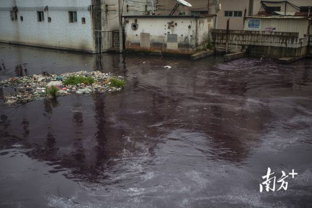 2015年,汕头潮阳区谷饶镇,工厂趁下雨向河涌排入大量印染污水。 2015年,汕头潮阳区谷饶镇,工厂趁下雨向河涌排入大量印染污水。