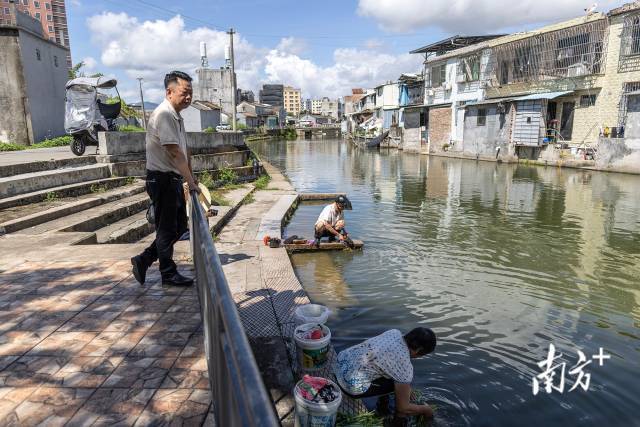 村里的前溪是练江的支流,陈喜亮正在与一位洗衣服的阿姨聊起家常。 村里的前溪是练江的支流,陈喜亮正在与一位洗衣服的阿姨聊起家常。