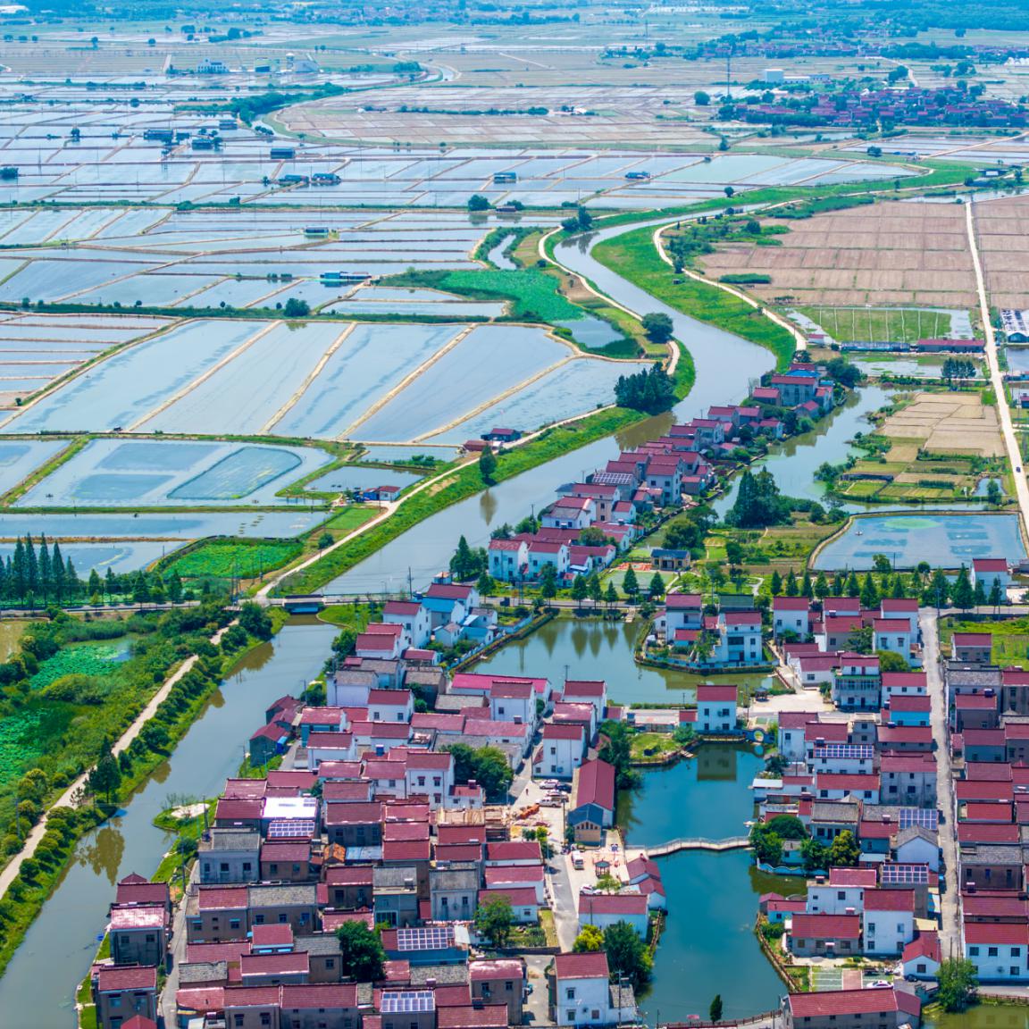 楊民松+水晶村+13913918338+江北區(qū)浦口DJI_20250617224714_0059_D