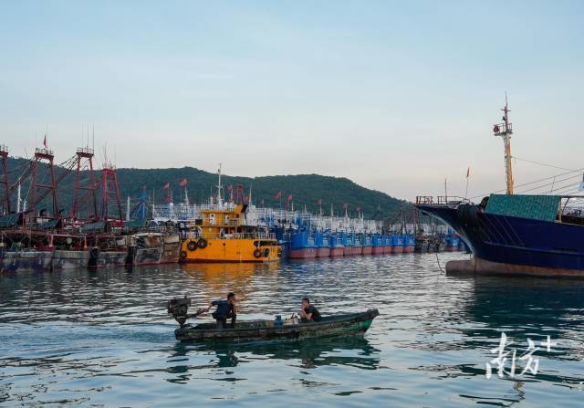 阳江海陵岛闸坡渔港,渔船回港避风。南方+记者 董天健 郑新洽 摄 阳江海陵岛闸坡渔港,渔船回港避风。南方+记者 董天健 郑新洽 摄