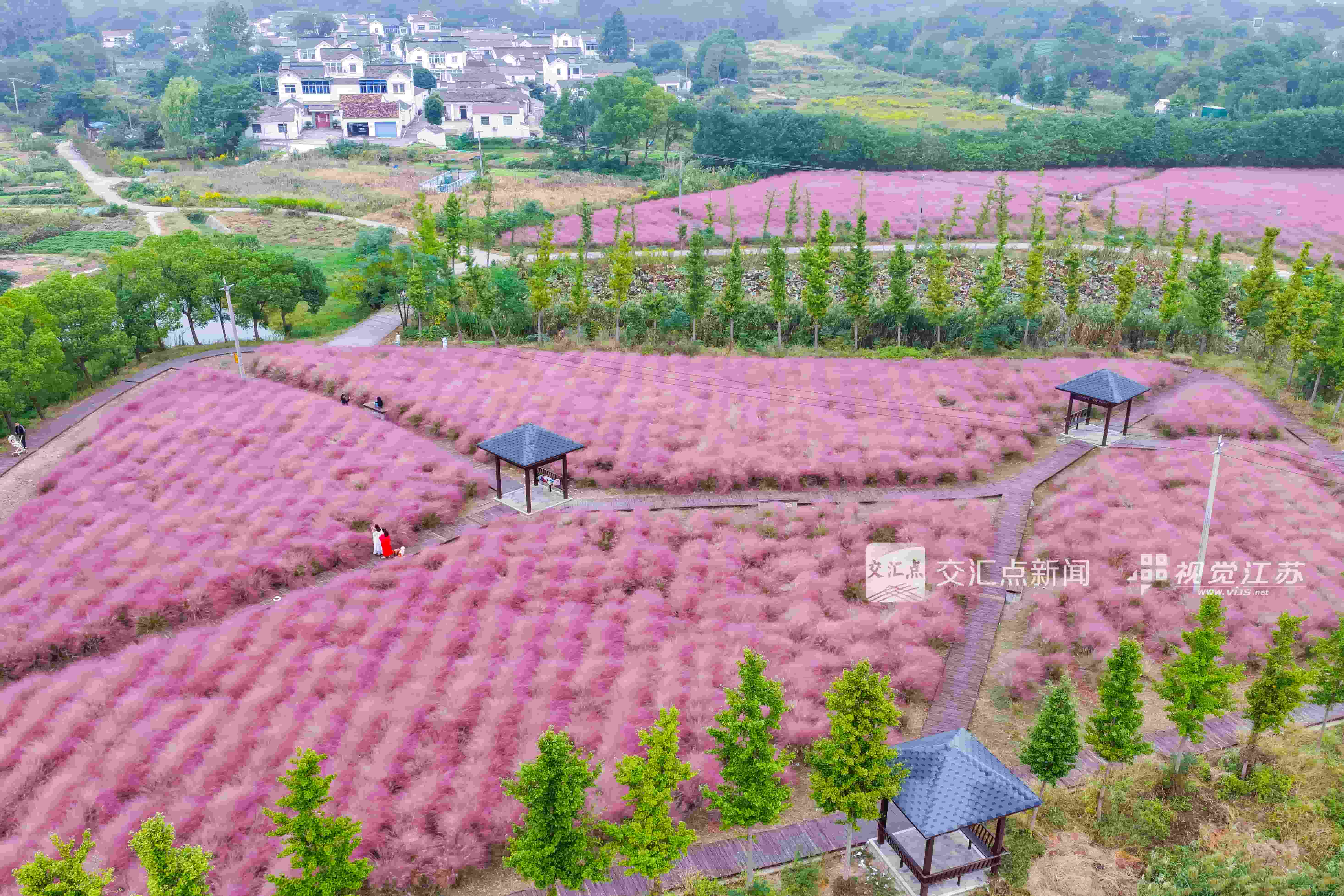 快来邂逅秋日限定“调色盘”_中国江苏网