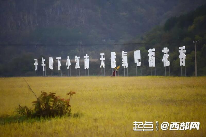 正在上传... 9d3a91c7492c7fa4e10da5def2940020.jpg