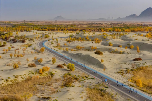 爽跑唐王城!2025图木舒克马拉松赛激情开跑!