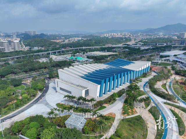 广东奥林匹克体育中心游泳跳水馆。南方+记者 姚志豪 仇敏业 摄