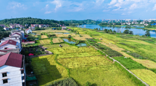 截图20251113103612