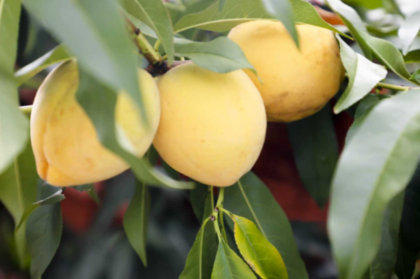 截图20251113103759