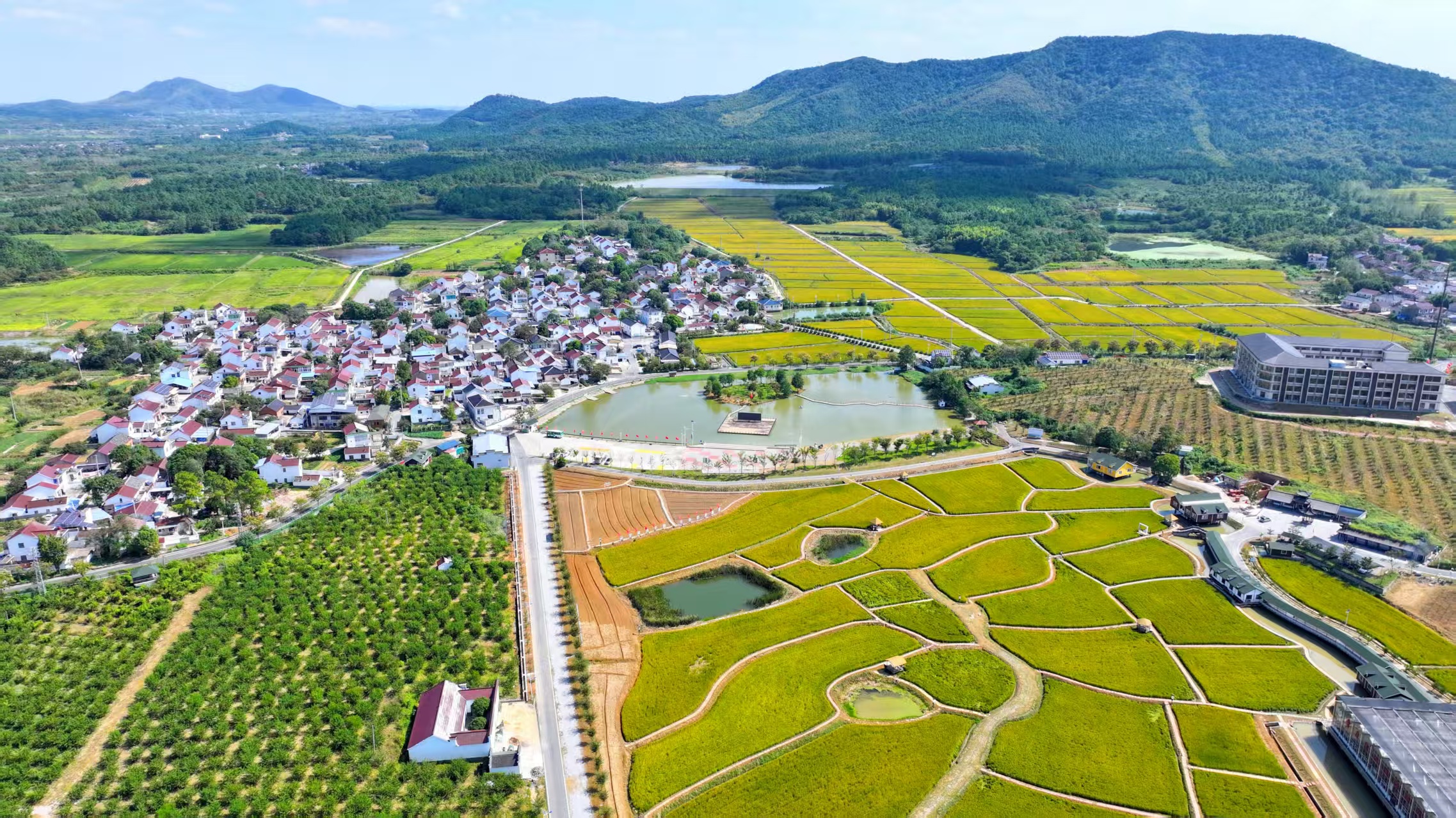 d2a50d6eb3eaaa3ef780e7fc08b32f26