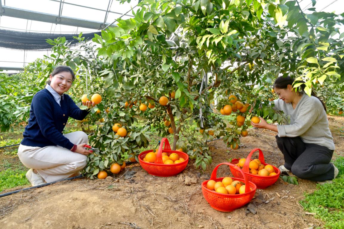 d3174f10b8fde77b4fcf74015c71a9f6