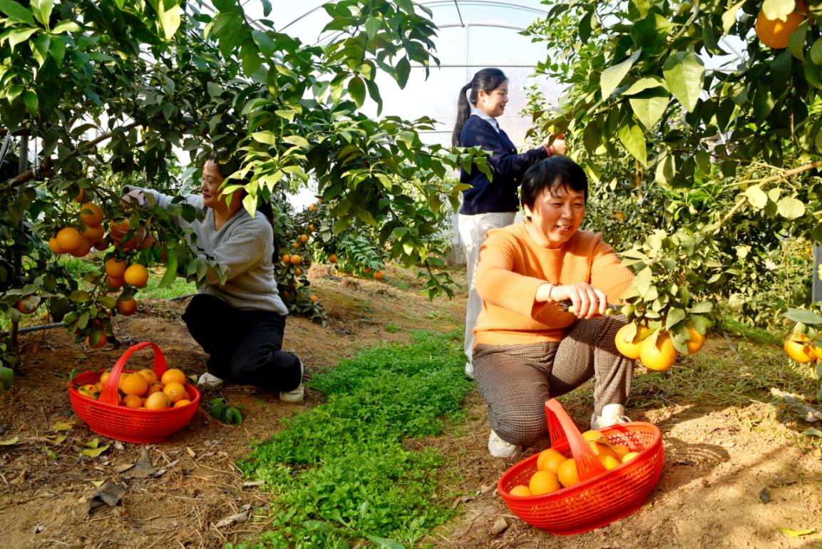 2dde239fa87852cc087a9d1852630c1f