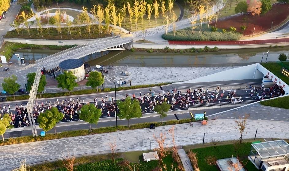 2025新金环上海Top Run 10公里精英赛圆满落幕，普陀掀起企业精英奔跑热潮