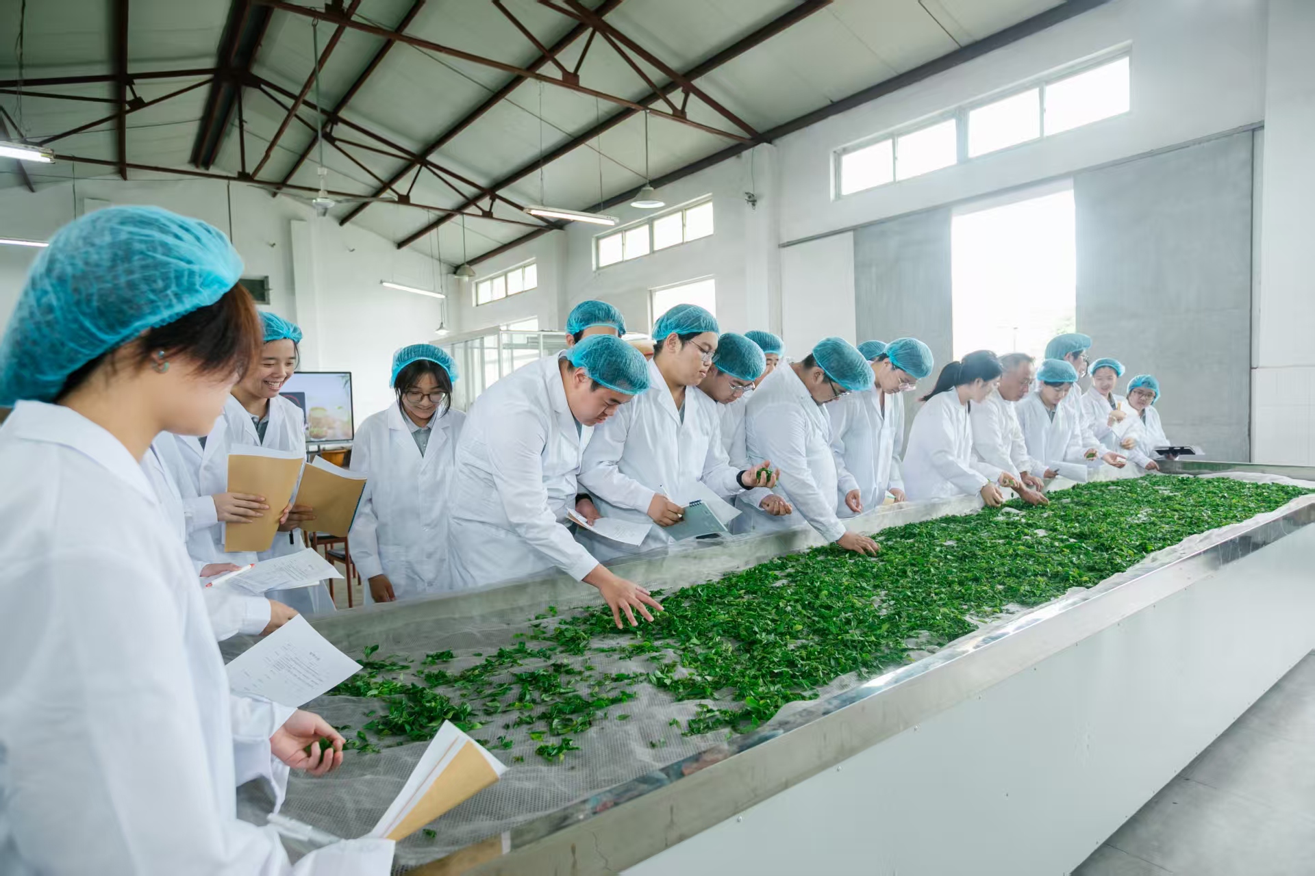 0812f199219af888ec1f75056068d83e