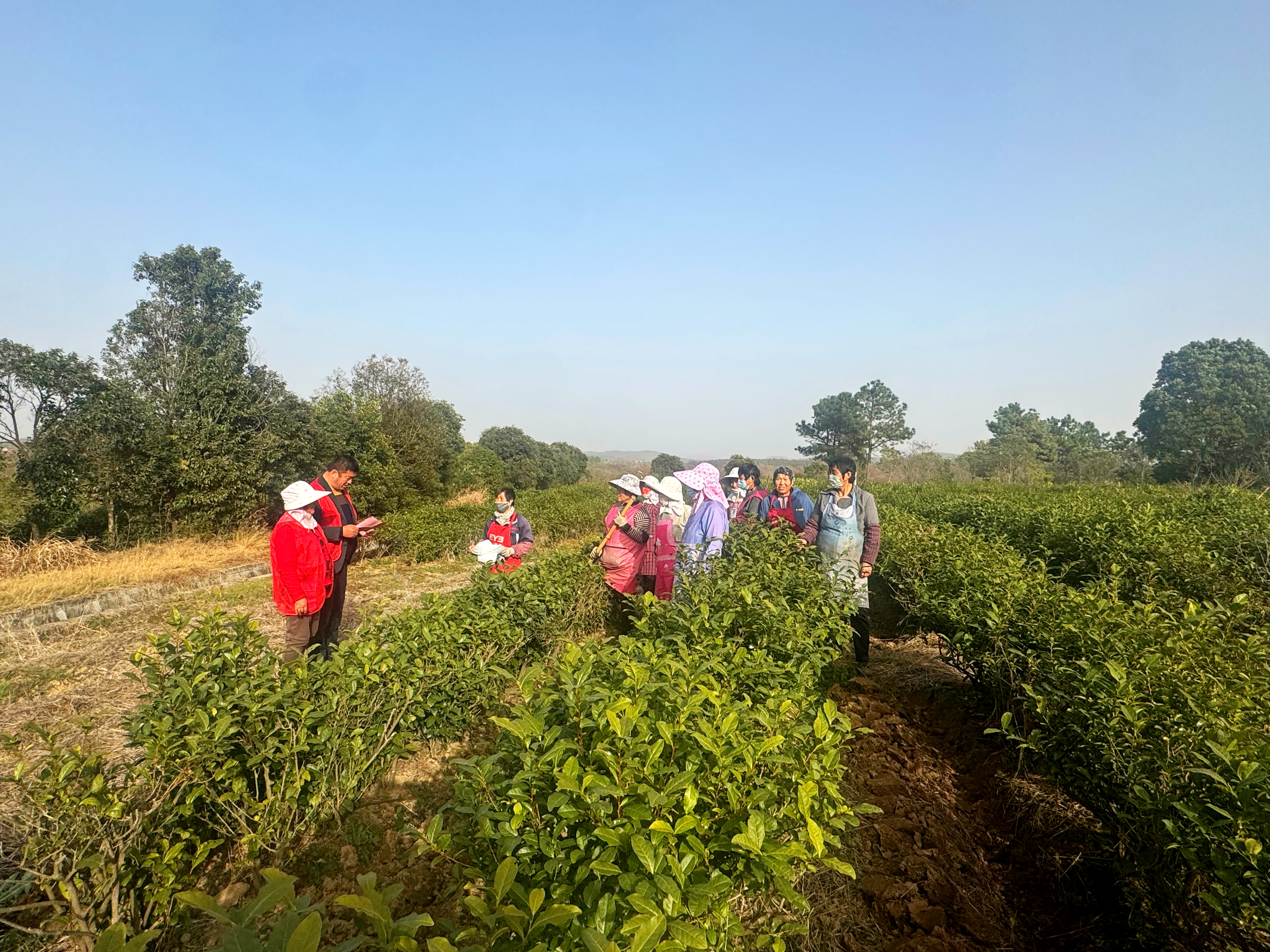 d5785ac0b7470b985f6862a162e7730a