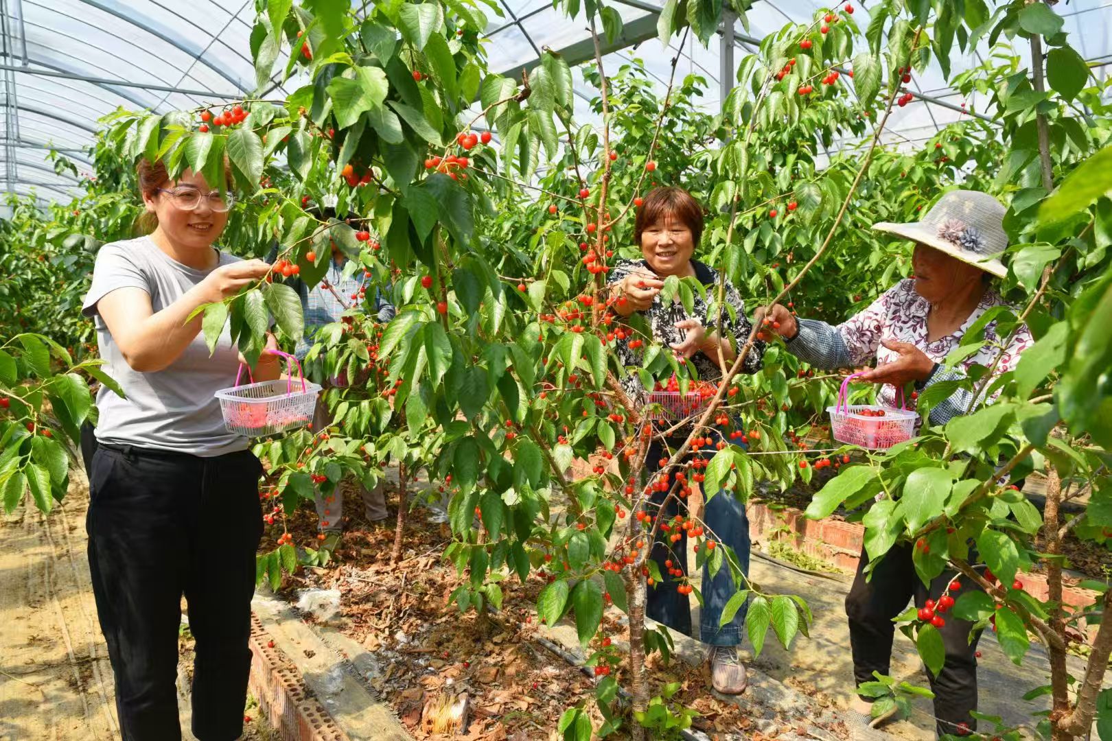 af6d7d965ef7878b9e2f48815451a7ae