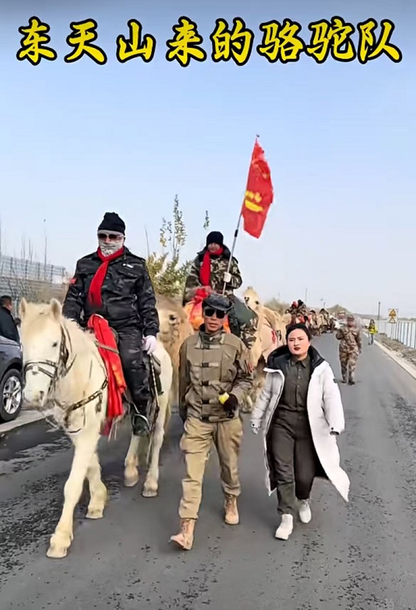 新疆中驼《东天山来的骆驼队》100天丝路行纪实