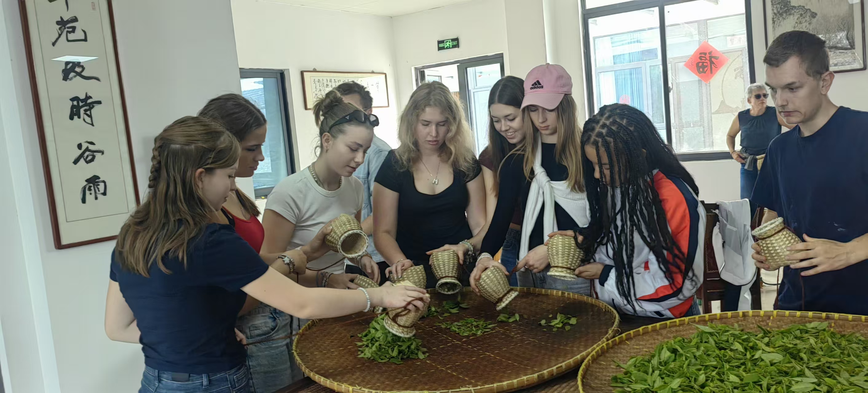 dbb08a50c84cc9b56e0ea2a33e591683