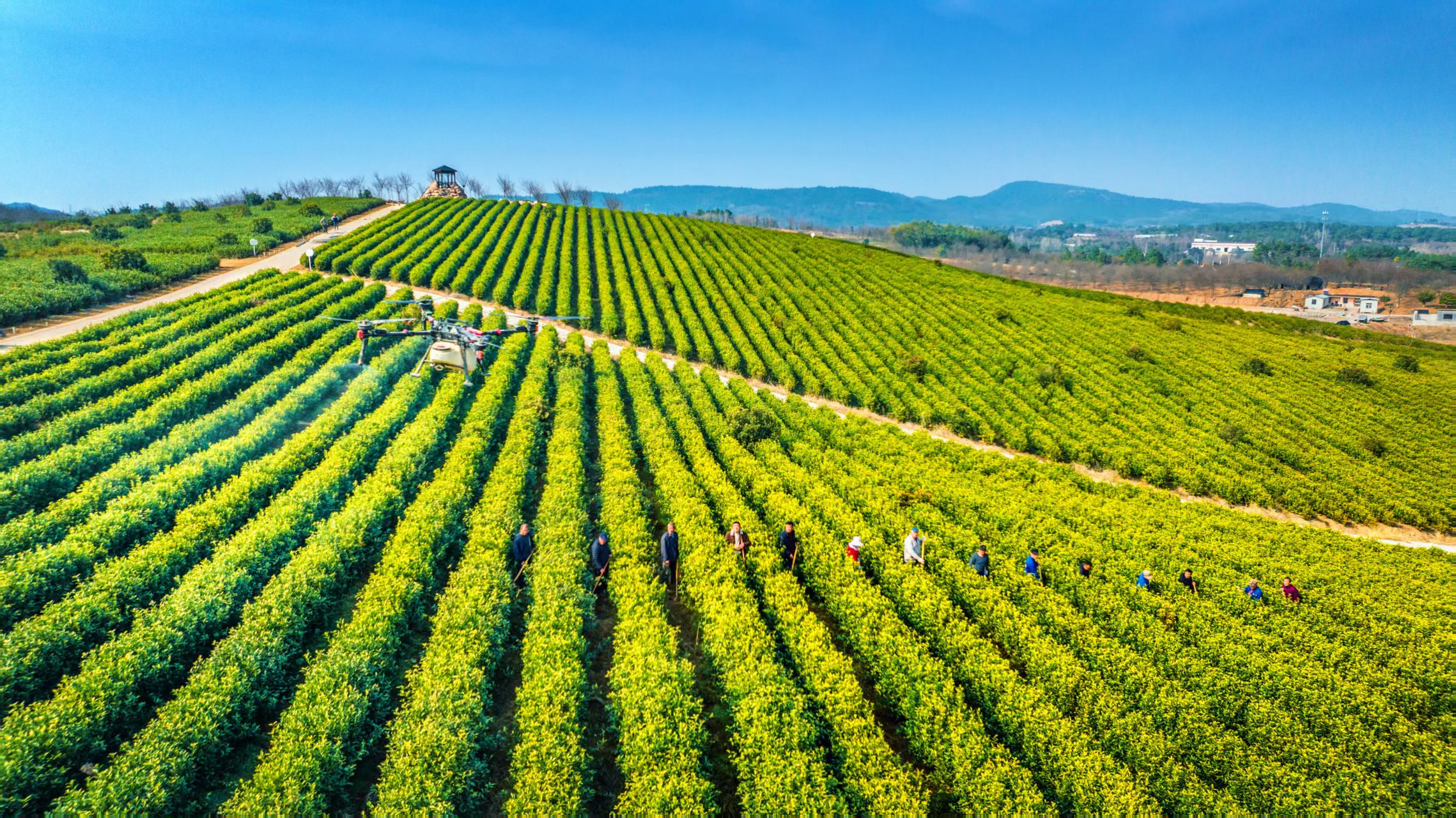 8229877f94c792196fb42c0f2efda4b9