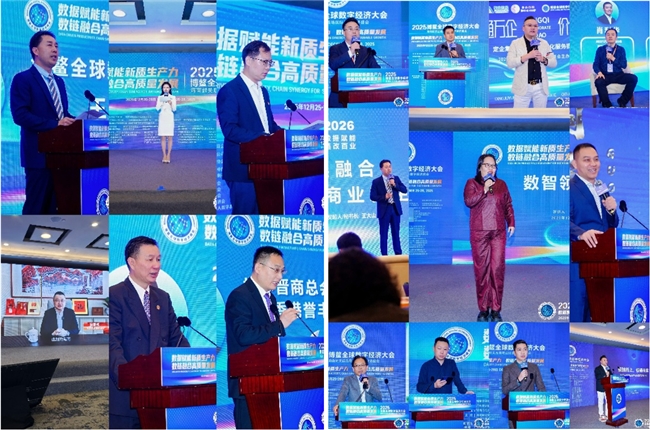 海南封关迎盛会，2025博鳌全球数字经济大会于博鳌圆满举办