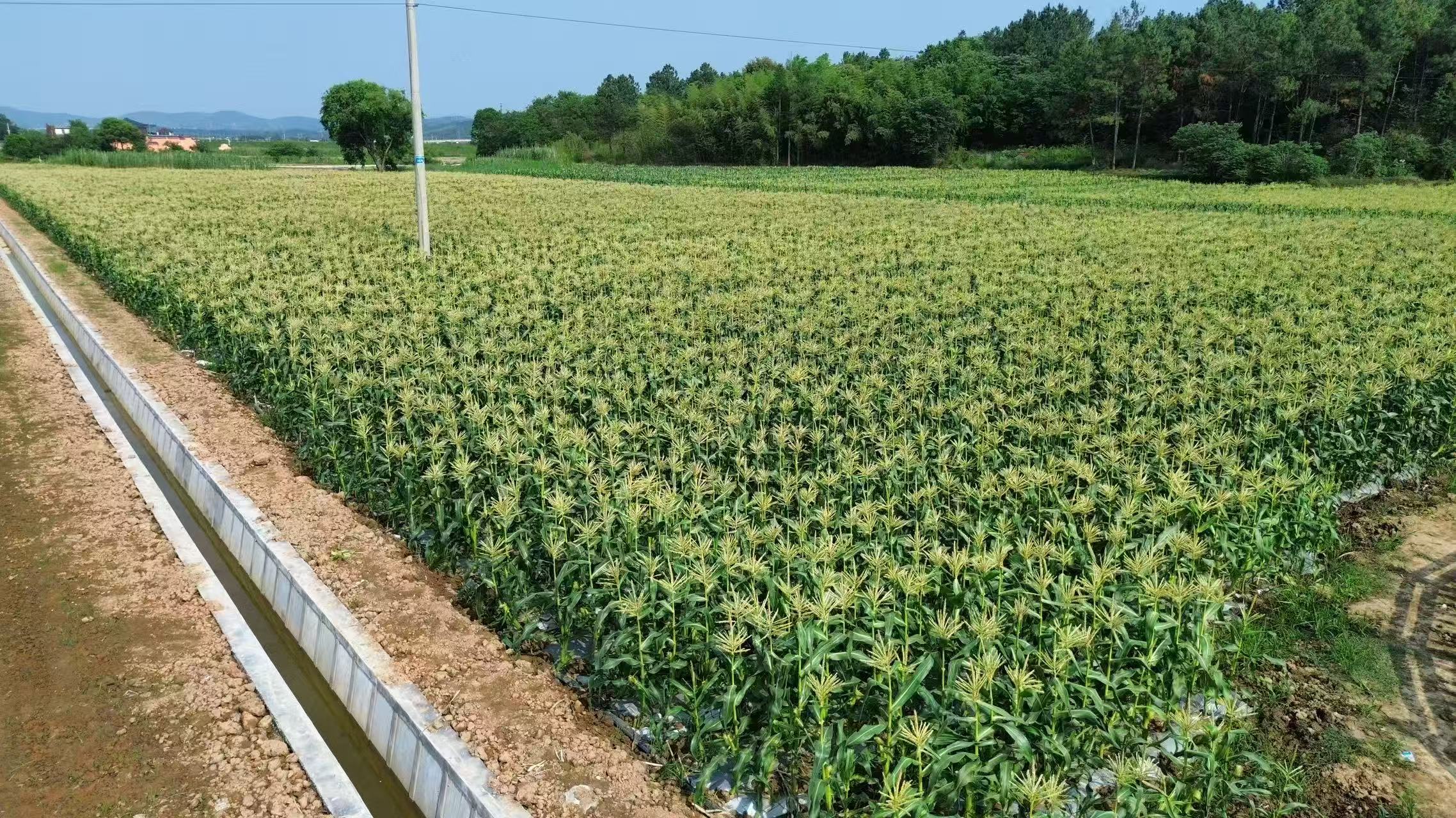 d8354b5a331e20069baeca57eac8b3dd