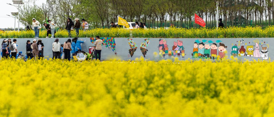 9杨萍华+《童趣涂鸦绘梦花海》+13584049956