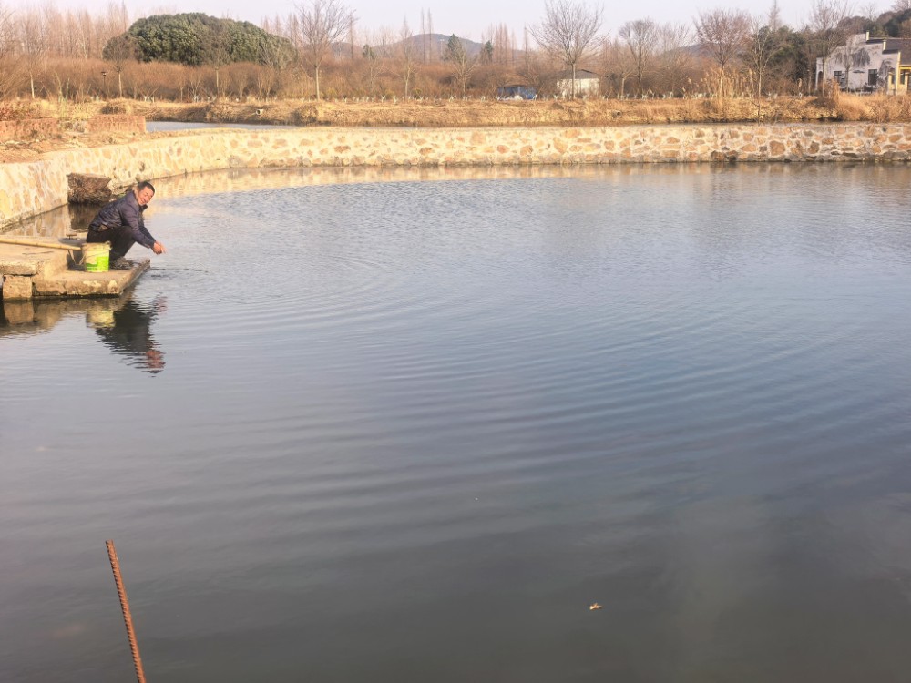 0e1e8062e09c74cc594e52dec729ccd2