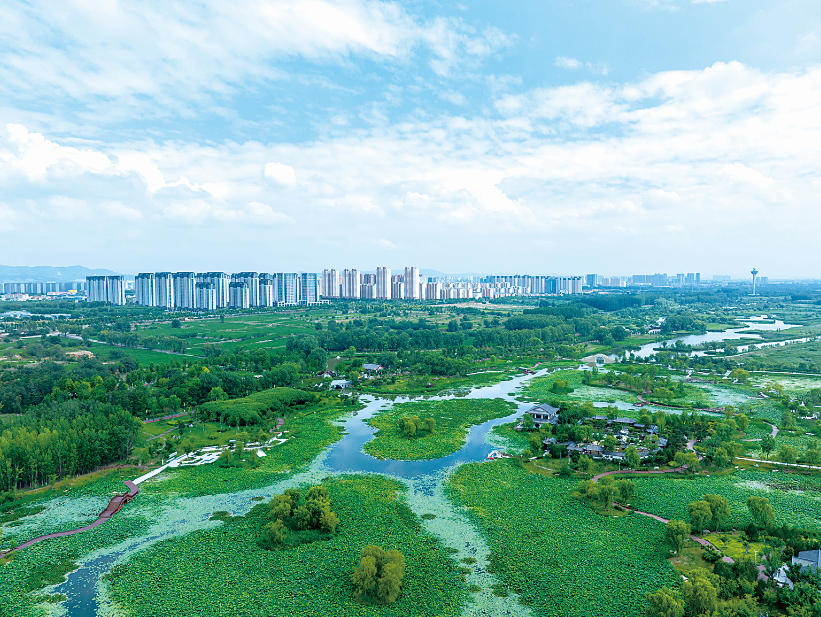 壮美河山，有它们守护
