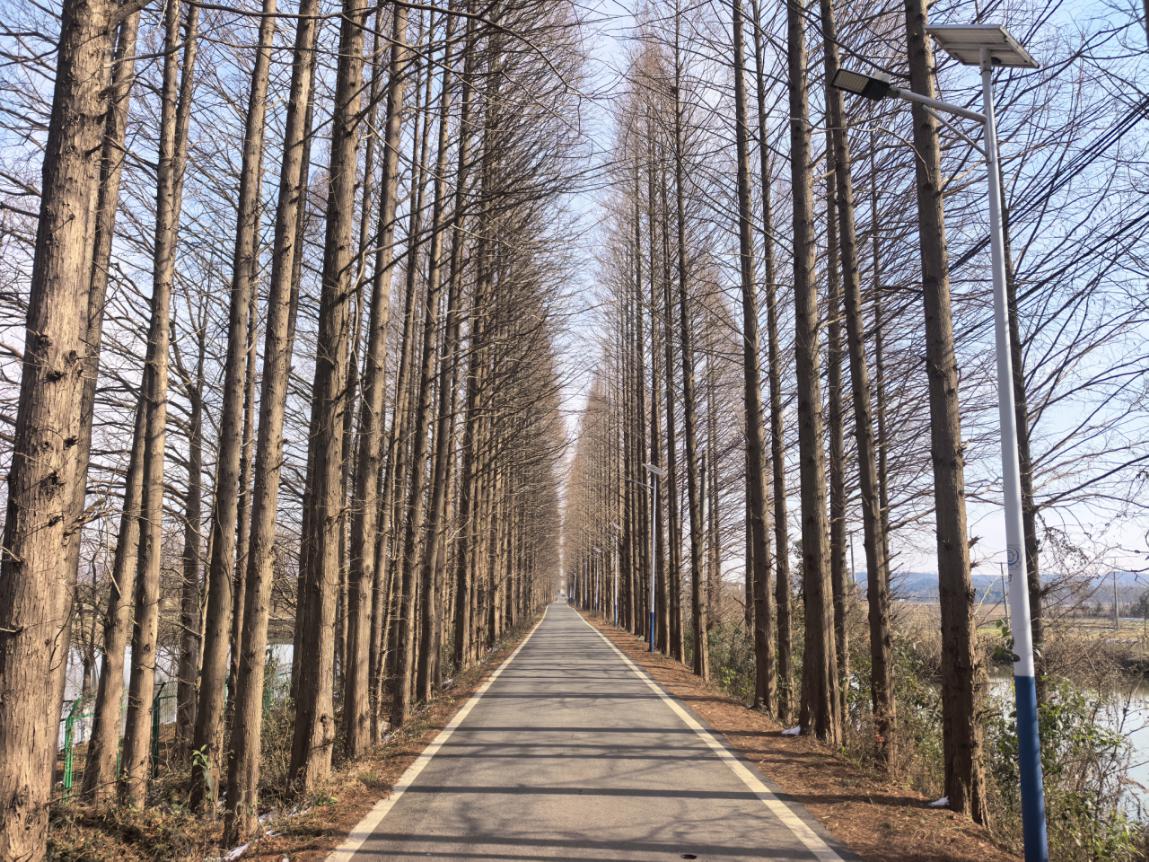 de49952d35dc2c7f0858b3376a0a3905