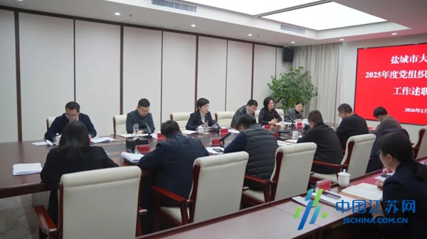 盐城市大数据集团召开2025年度党组织书记抓基层党建工作述职评议会