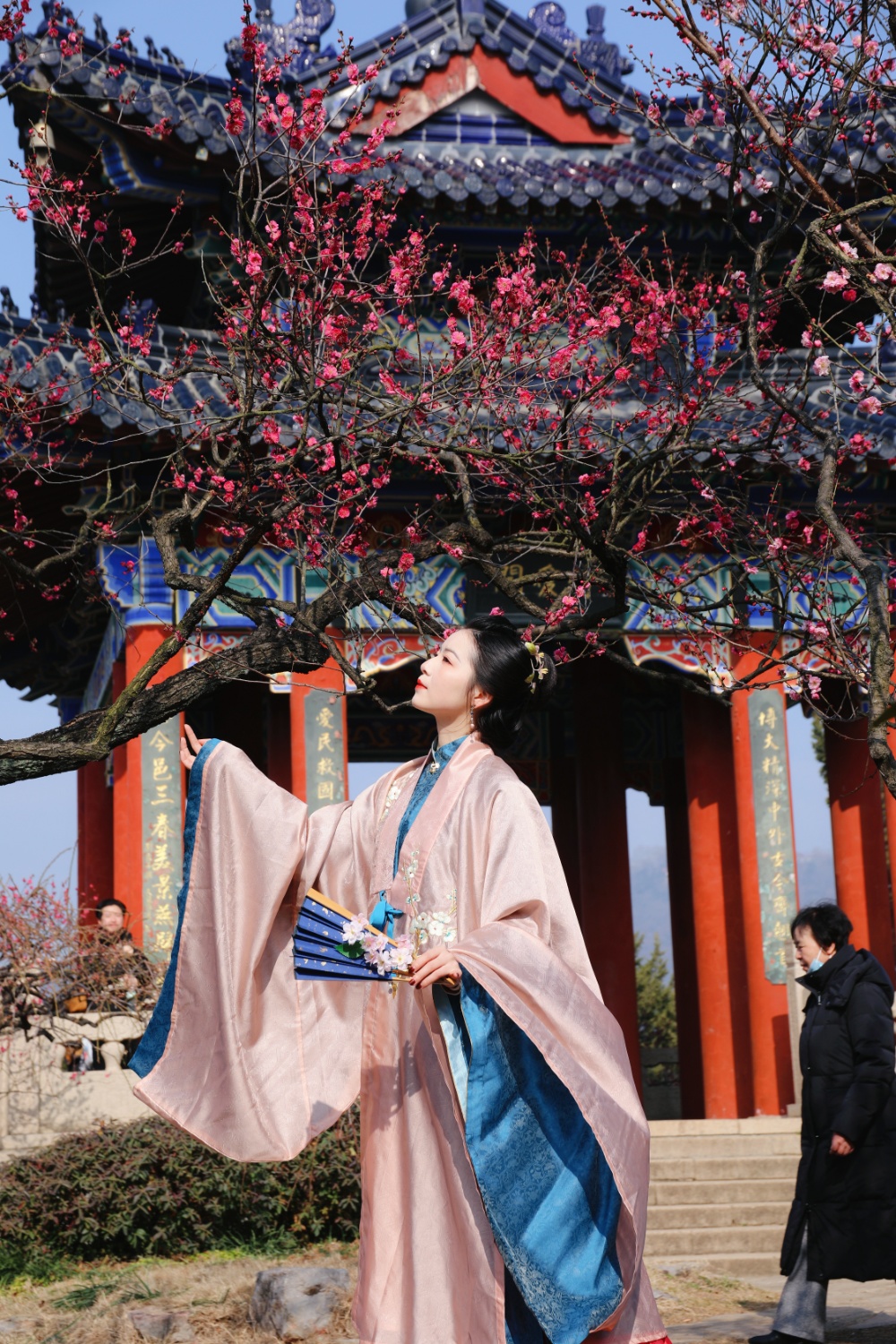 2月4日，我们迎来了二十四节气之首的立春。南京梅花山的梅花渐次盛放，吸引了身穿古装、现代服饰的市民游客前来赏梅打卡，给人一种时空穿梭感。 
通讯员 徐福庚  新华日报·交汇点记者 聂伟