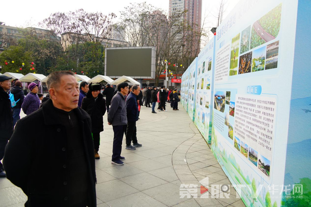 市民们正观看湿地展板。第1眼TV-华龙网记者 欧武夷 摄