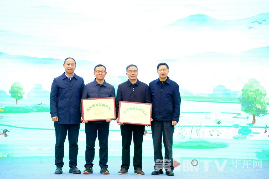 授牌环节。第1眼TV-华龙网记者 欧武夷 摄