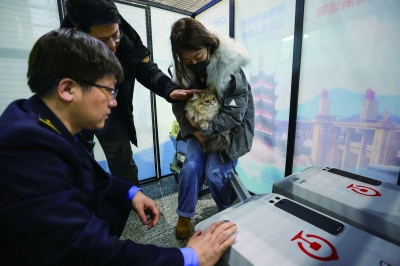 旅客在中铁快运南京南站营业部办理高铁宠物托运。据介绍，中铁快运南京南站营业部迎来高铁宠物托运业务办理高峰，为平时预约量的5倍。