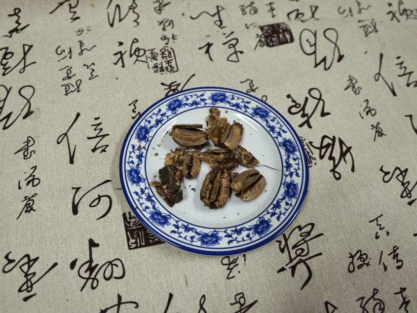 你认识吗？细数中药里的“马”