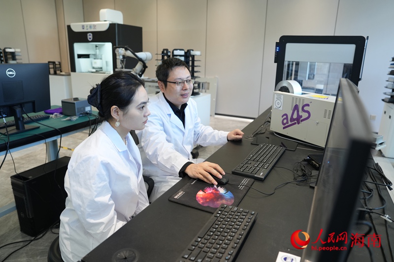 海南大学三亚南繁研究院副院长夏志强在工作。人民网记者 符武平摄