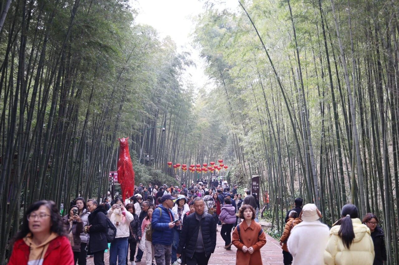 “同款”成“爆款” 春晚分会场文旅消费热度飙升