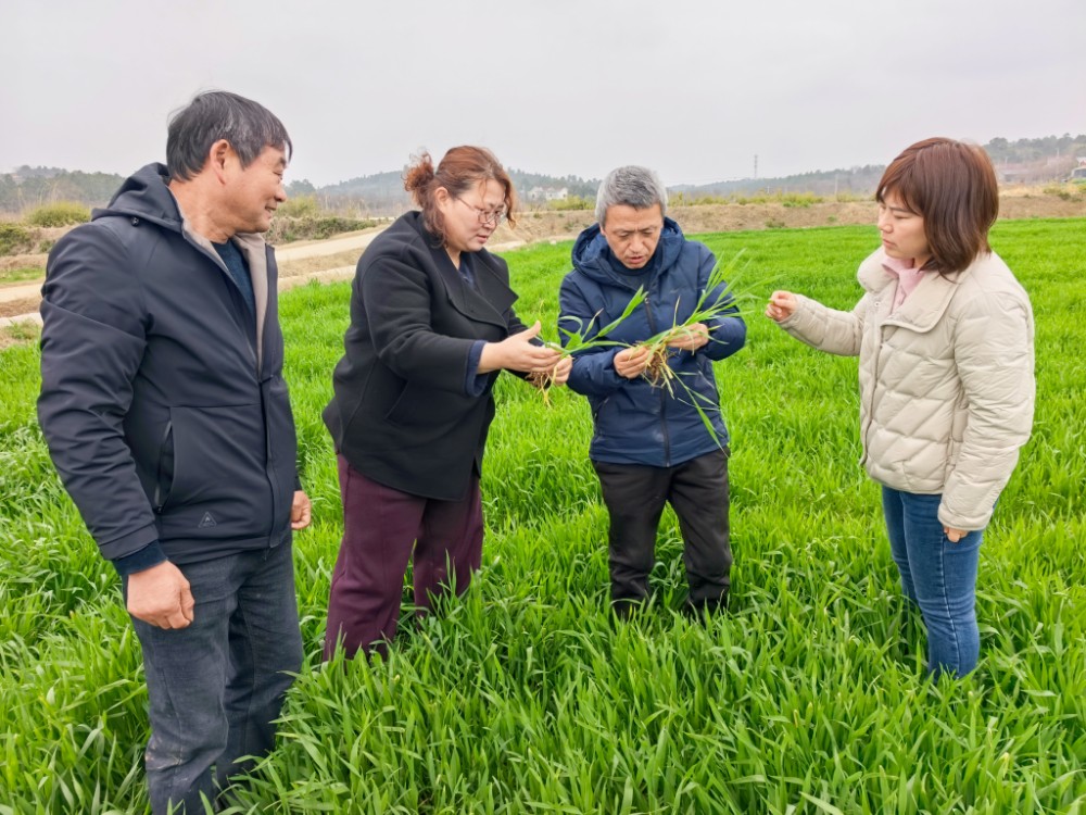 aea28487aed0399e74365de529a731fb