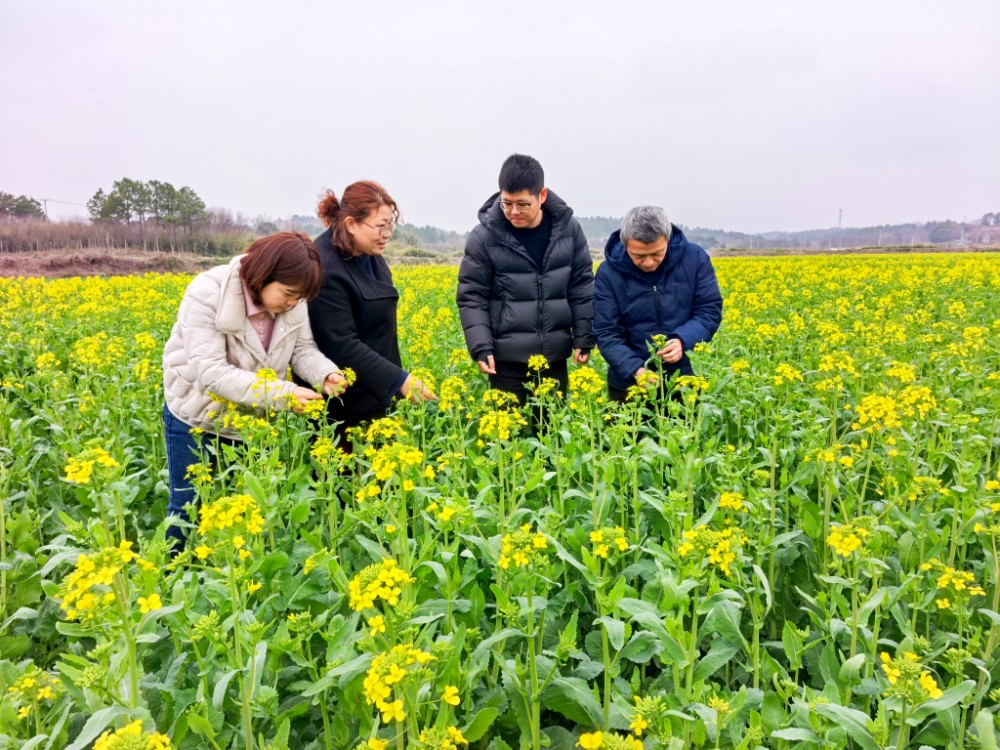 567a2852f0062466d6cb9ee985fcc56b