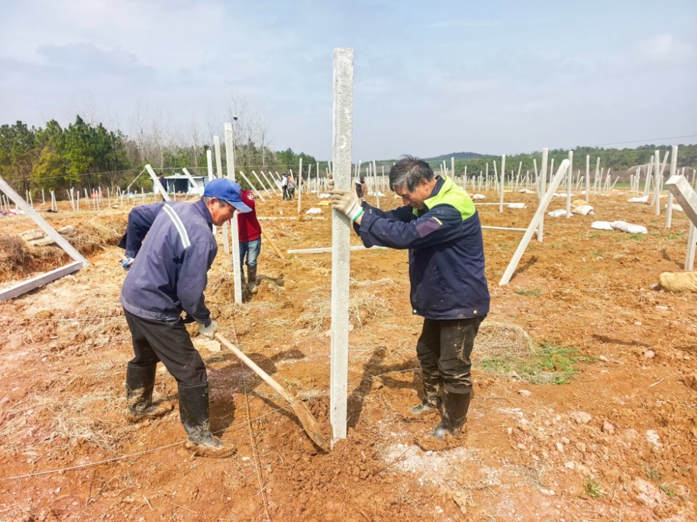 e09e9711a6752875e4b9b866aa52da14