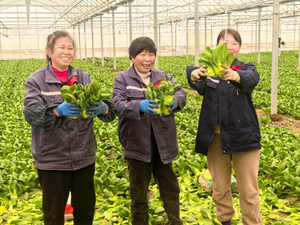 a294bdaaa8cf239f3ec1ef9a4c196f81