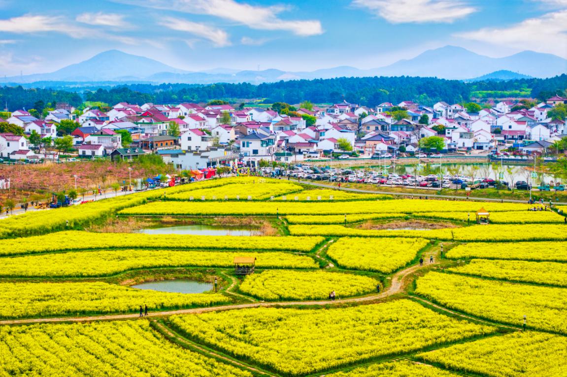 《金色画卷》范玥+13382031688