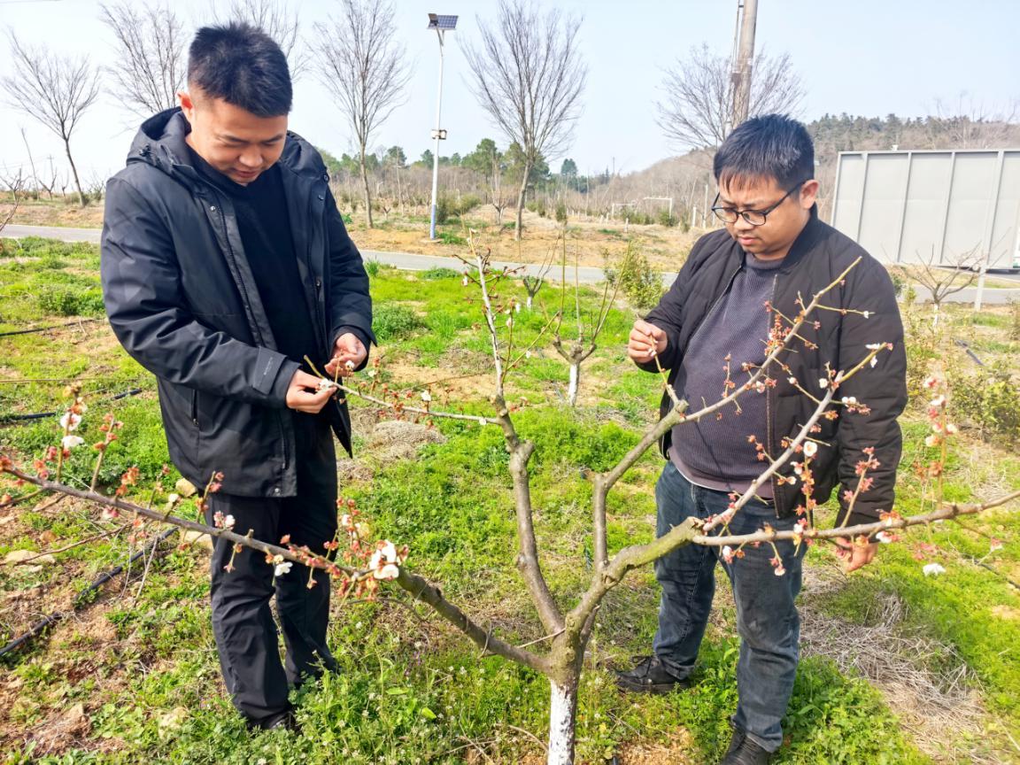 37e34522f07801c397759ed9222e980b