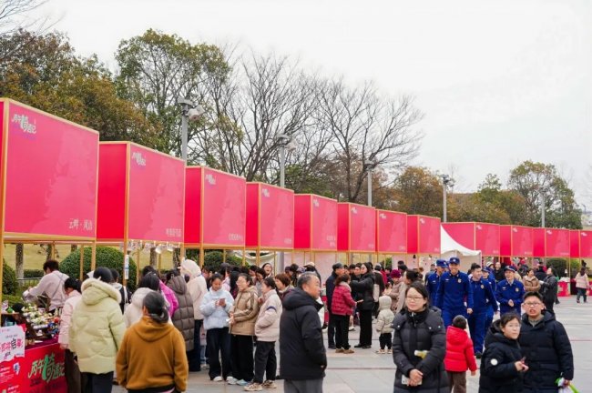 丙午“骑”遇记｜2026北仑区元宵欢喜游园会璀璨绽放