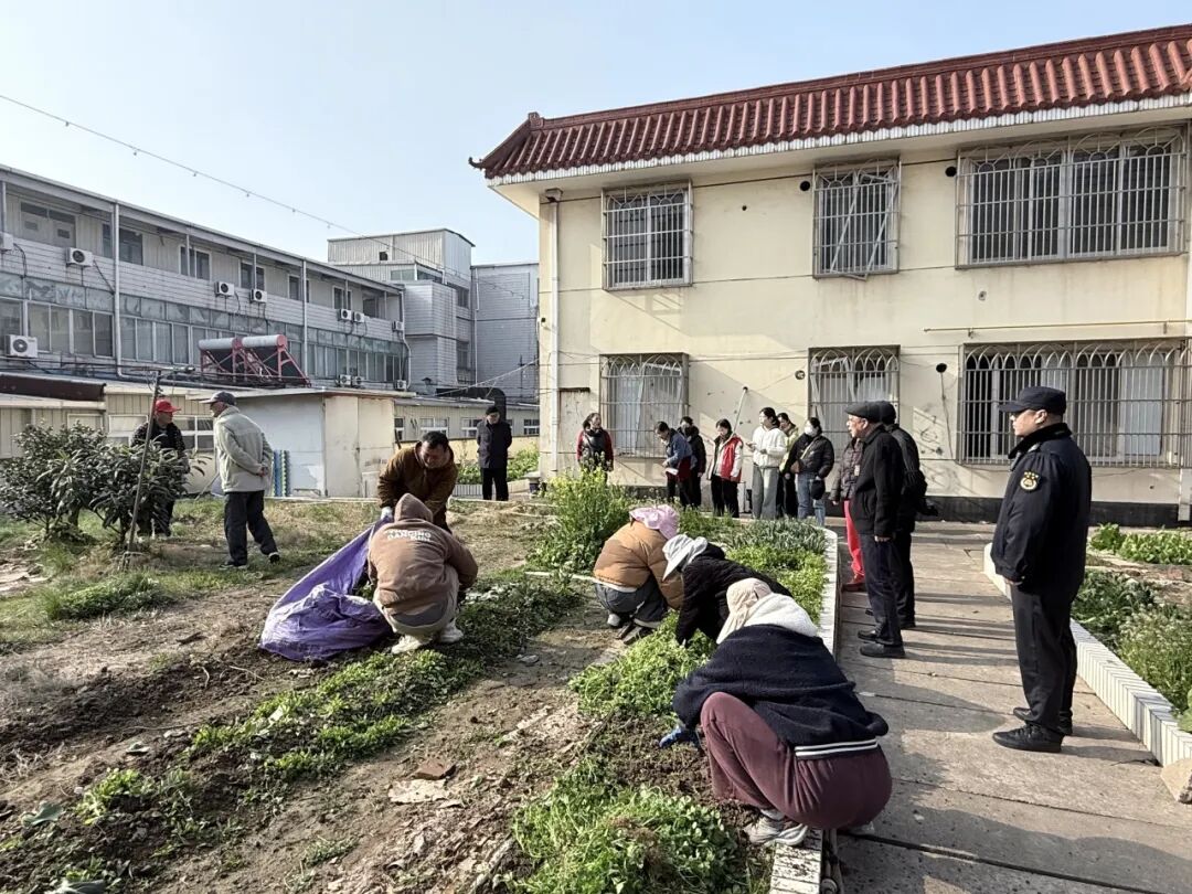 启东城管进社区：告别“空中菜园” 还绿于民共建宜居家园