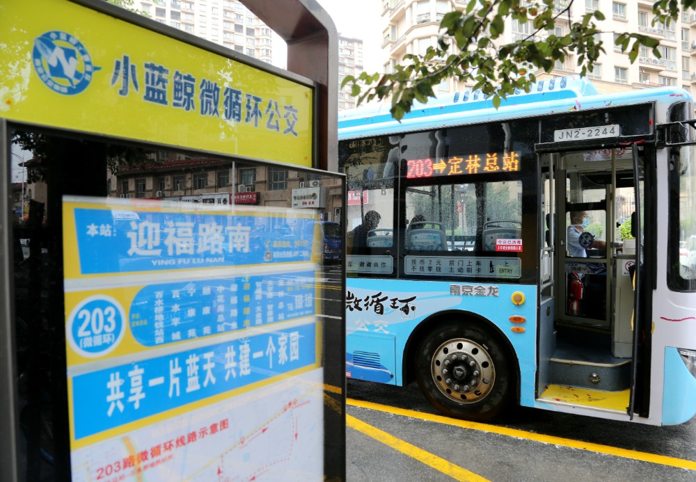 南京公交203路微循环线路 通讯员 裴晓燕 南京日报/紫金山新闻记者 徐琦摄