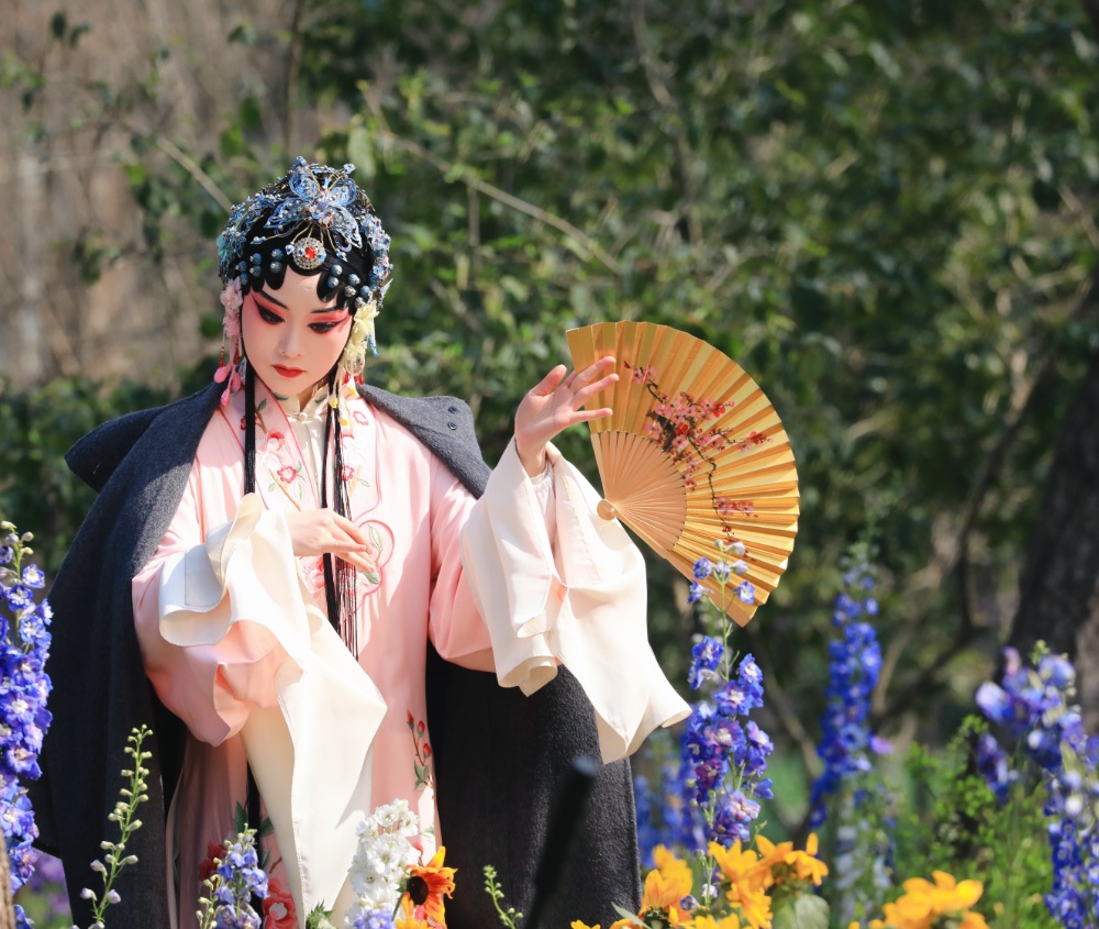 春日正好，花期已至。连日来，第29届南京春季花展在中山植物园南园华丽绽放。
花展打造了春之献礼等四大主题景观，近40万株郁金香花，还有冰岛虞美人、向日葵、绣球花等，构成一片片绚烂的花海，为市民游客献上一场春日赏花盛宴。
通讯员 徐福庚 新华日报·交汇点记者 聂伟