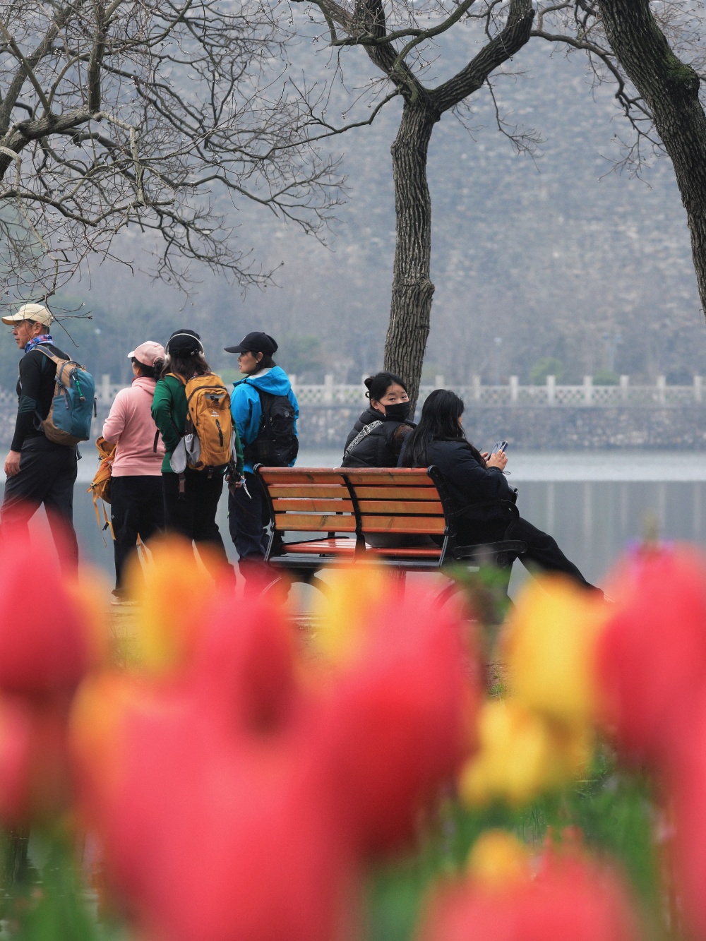 春日正好，花期已至。连日来，第29届南京春季花展在中山植物园南园华丽绽放。
花展打造了春之献礼等四大主题景观，近40万株郁金香花，还有冰岛虞美人、向日葵、绣球花等，构成一片片绚烂的花海，为市民游客献上一场春日赏花盛宴。
通讯员 徐福庚 新华日报·交汇点记者 聂伟
