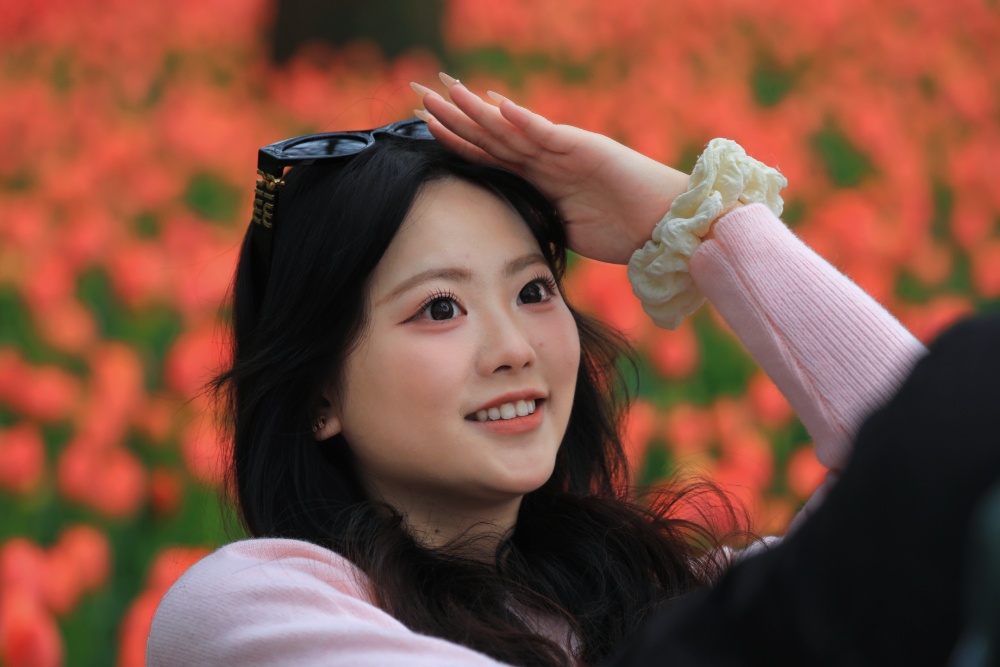 春日正好，花期已至。连日来，第29届南京春季花展在中山植物园南园华丽绽放。
花展打造了春之献礼等四大主题景观，近40万株郁金香花，还有冰岛虞美人、向日葵、绣球花等，构成一片片绚烂的花海，为市民游客献上一场春日赏花盛宴。
通讯员 徐福庚 新华日报·交汇点记者 聂伟